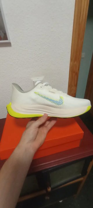 Zapatillas Nike Pegasus Plus Nuevas
