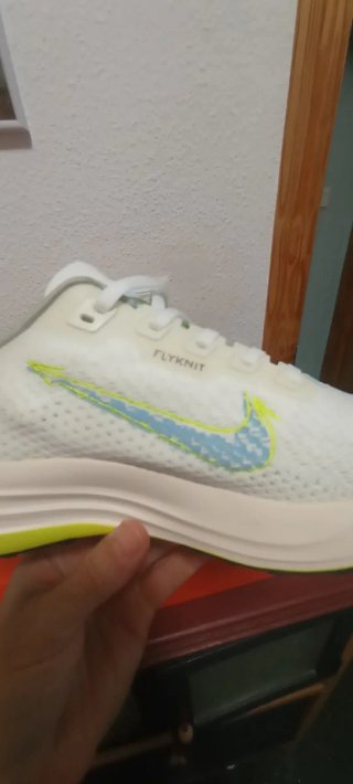 Zapatillas Nike Pegasus Plus Nuevas