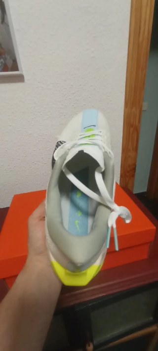Zapatillas Nike Pegasus Plus Nuevas