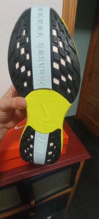 Zapatillas Nike Pegasus Plus Nuevas