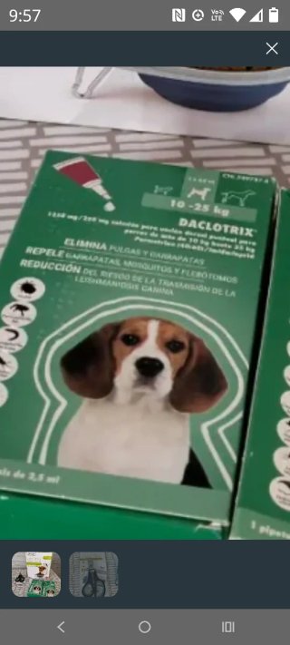 Productos para mascotas Zoofari lote o por separad