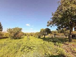 Casa rural en venta en Costitx