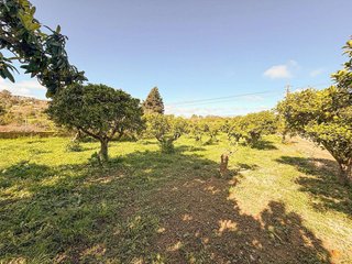 Casa rural en venta en Costitx