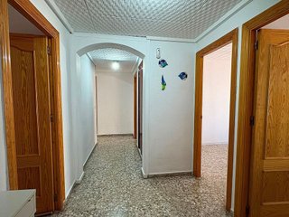 Piso en alquiler en Alcalde Felipe Mallol en San Vicente del Raspeig/Sant Vicent del Raspeig