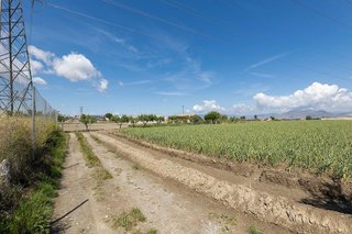 Terreno en venta en Cúllar Vega