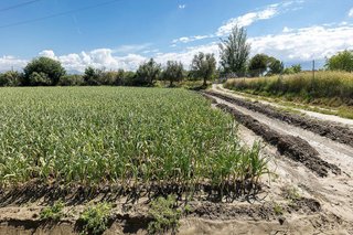 Terreno en venta en Cúllar Vega