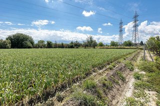 Terreno en venta en Cúllar Vega