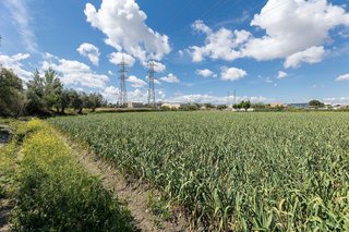 Terreno en venta en Cúllar Vega