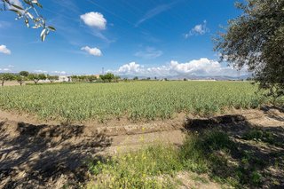 Terreno en venta en Cúllar Vega