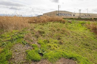 Terreno en venta en Chauchina
