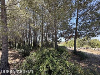 Terreno en venta en Castellbisbal
