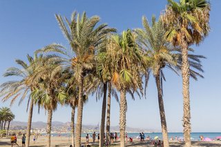 Casa adosada en alquiler en Parque Ayala - Jardín de la Abadía - Huelín en Málaga
