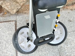 Carro de golf