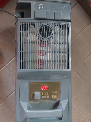 Aspirador Electrolux D790 + accesorio ácaros