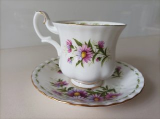 Taza y plato Royal Albert Septiembre