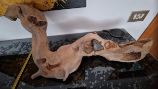 Legno di fiume levigato decorativo