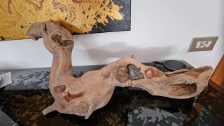 Legno di fiume levigato decorativo