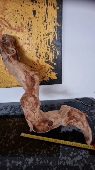 Legno di fiume levigato decorativo