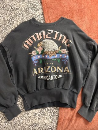 Sudadera Bershka oversize águila Arizona