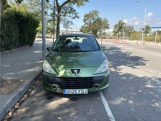 Peugeot 307 Verde 110.000 km!!!