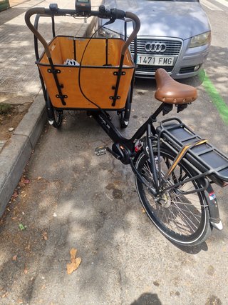 Bicicleta Eléctrica Vogue Carrey3