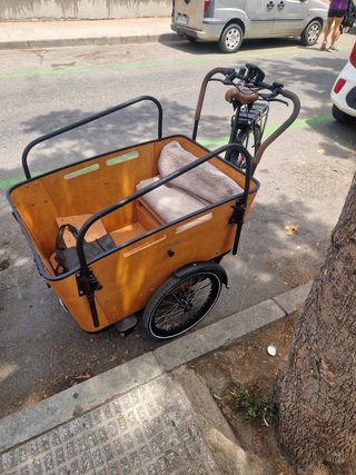 Bicicleta Eléctrica Vogue Carrey3
