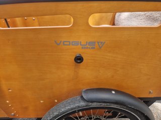 Bicicleta Eléctrica Vogue Carrey3