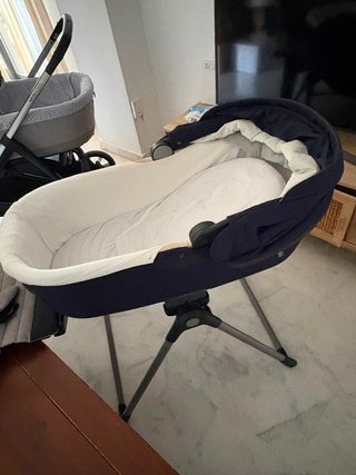 Inglesina Aptica con 2 capazos y extras