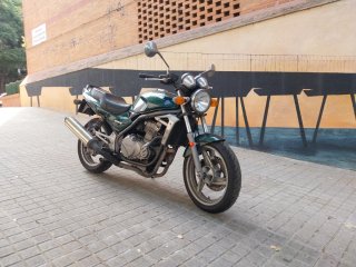 Kawasaki ER-5 Verde