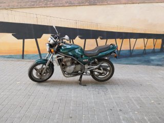 Kawasaki ER-5 Verde