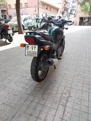 Kawasaki ER-5 Verde