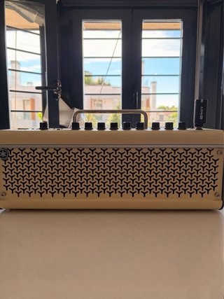 Amplificador Yamaha THR30II + Relay G10T