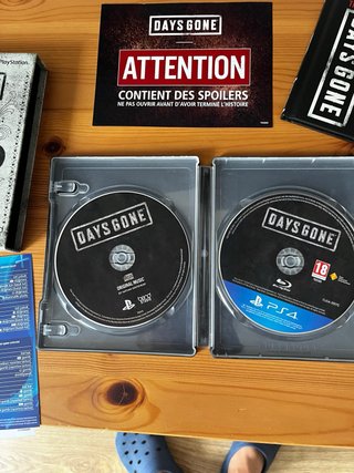 Days Gone Edición Especial PS4