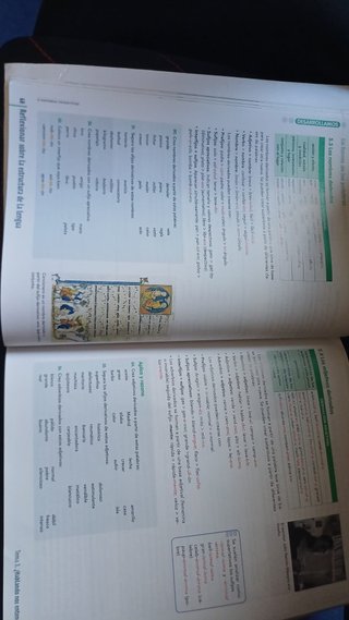 Libro texto de 2o eso: LENGUA EAN: 978 84 68293134
