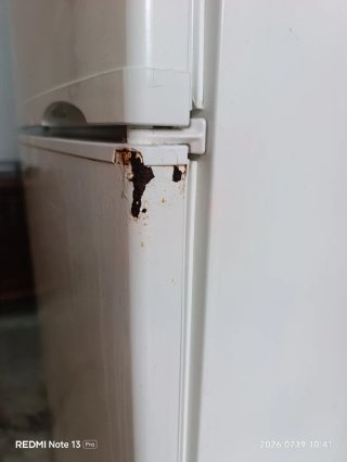 Frigorífico Lynx Blanco