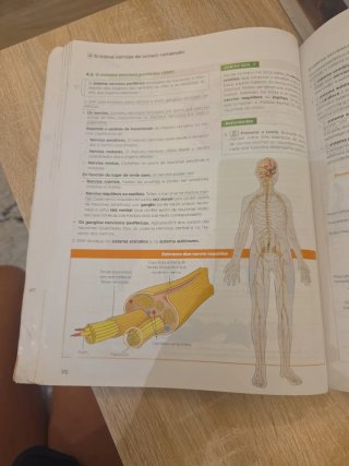 Bioloxía, Xeoloxía e Ciencias Ambientais 1.