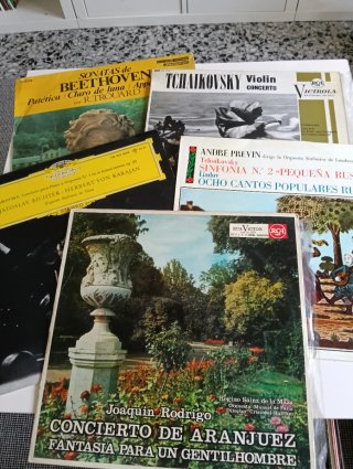 Lote Vinilos Música Clásica