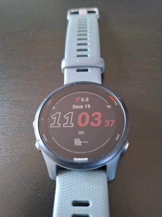 Garmin Forerunner 255 GPS Smartwatch