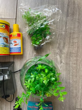 Acuario 20L completo + 2 filtros