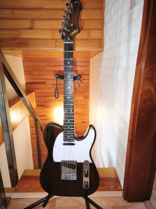 Guitarra Harley Benton Kit