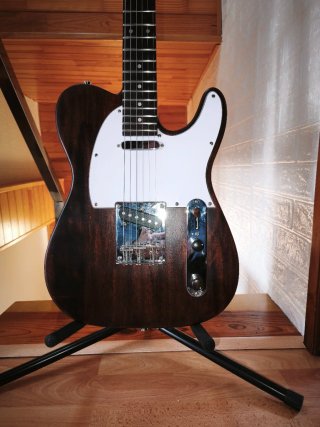 Guitarra Harley Benton Kit