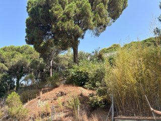 Vendo terreno en las mellas granollers 673871530