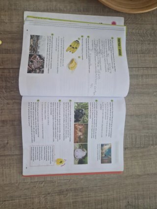 Ciencias Sociales 3, Segundo Ciclo, Primaria, C...