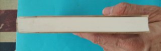 Libro "El Tercer Leon" de Floyd Kemske