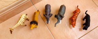 Lote animales jungla: jirafa, león, elefantes, tig