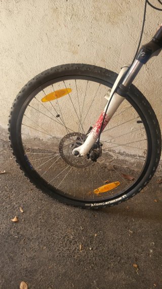 Bicicleta de Montaña