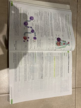Biología y Geología. 3 Secundaria. Revuela