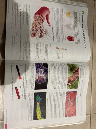 Biología y Geología. 3 Secundaria. Revuela
