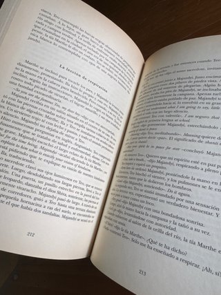 Libro: El viaje de Teo de Catherine Clement