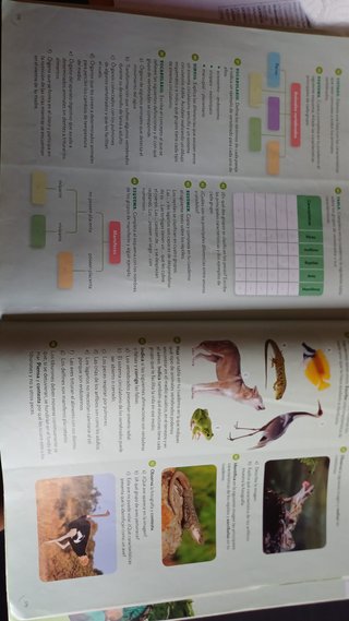 BIOLOGIA Y GEOLOGIA MEC 1ESO CONSTRUYENDO MUNDOS